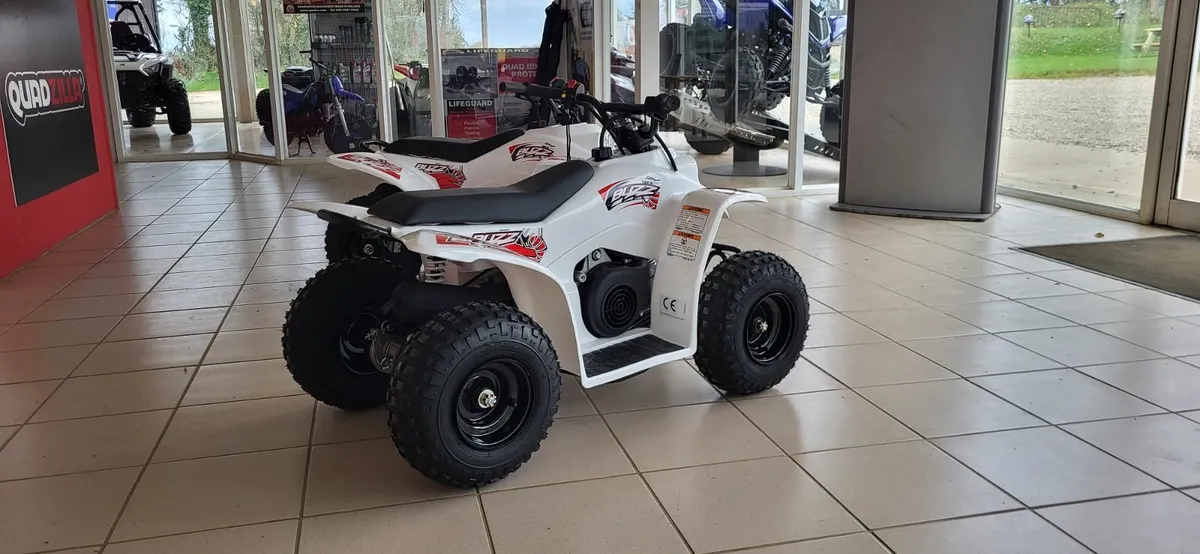 NEW QUADZILLA BUZZ 50cc - Image 4