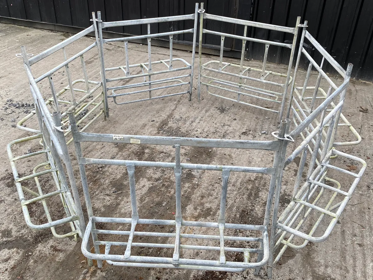 Calf Pen Fronts - Image 4