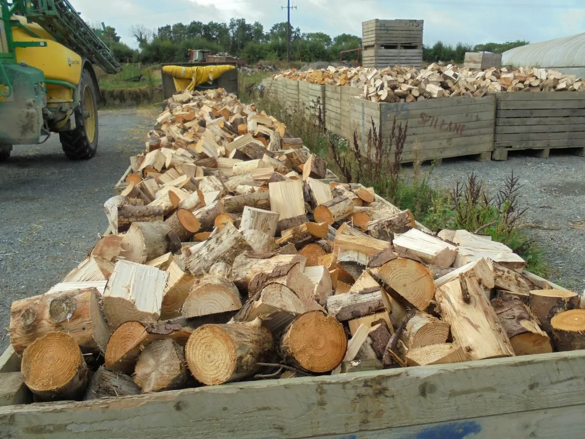 FIREWOOD . - Image 1