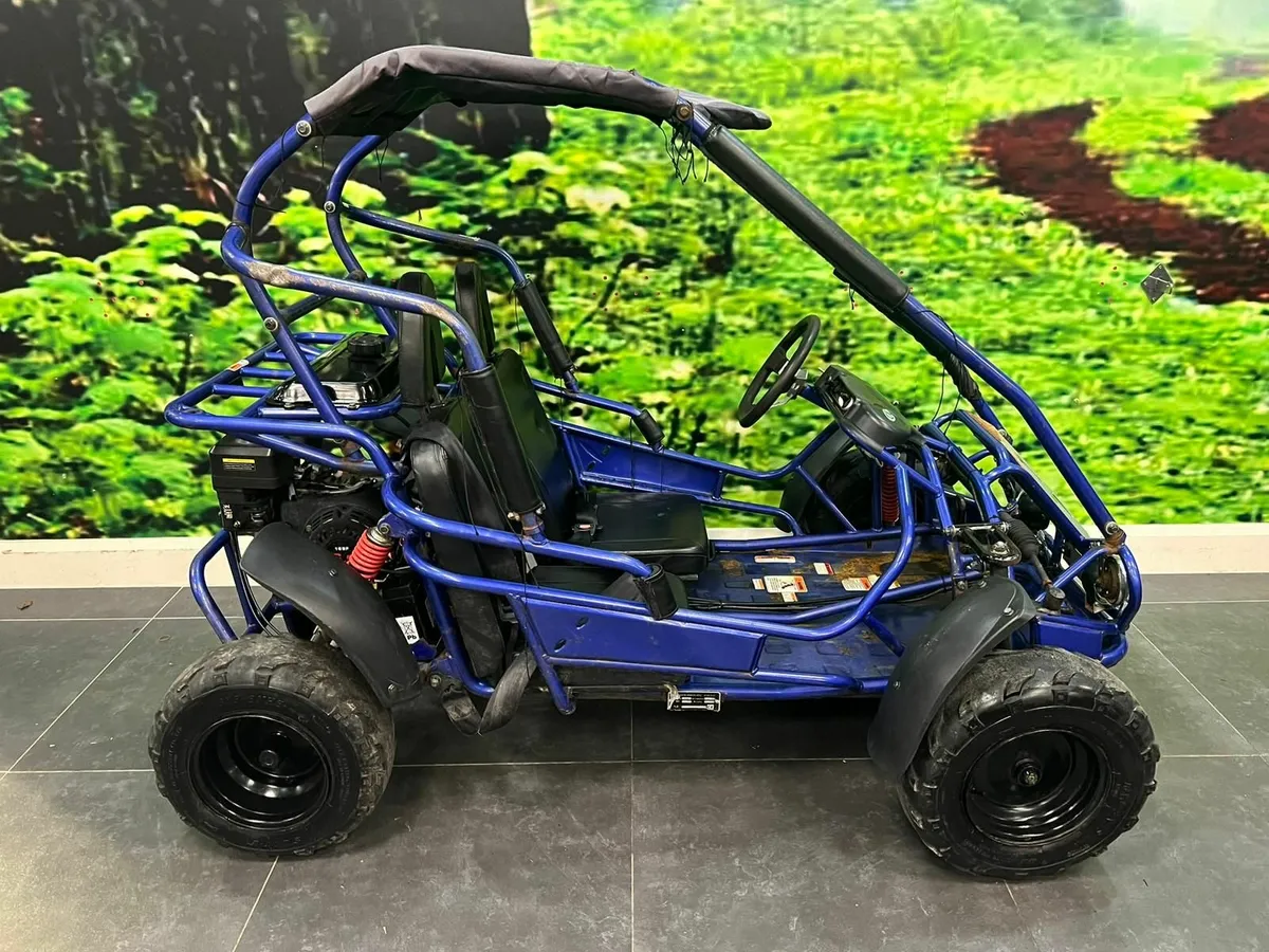 Mudhead buggy best sale