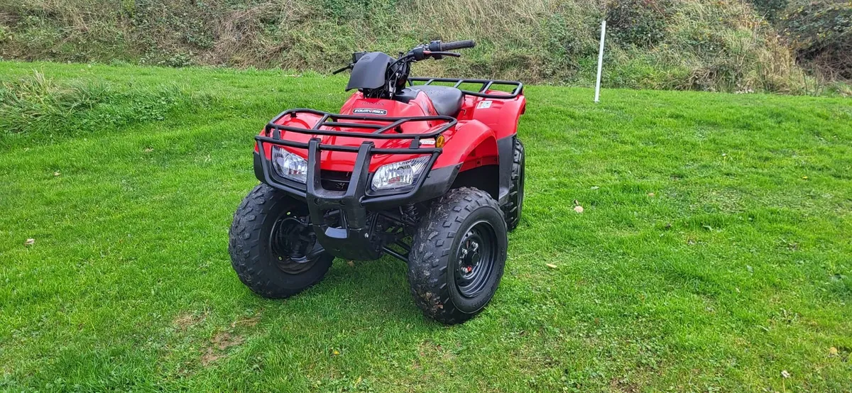 2020 HONDA TRX250 TM - Image 3