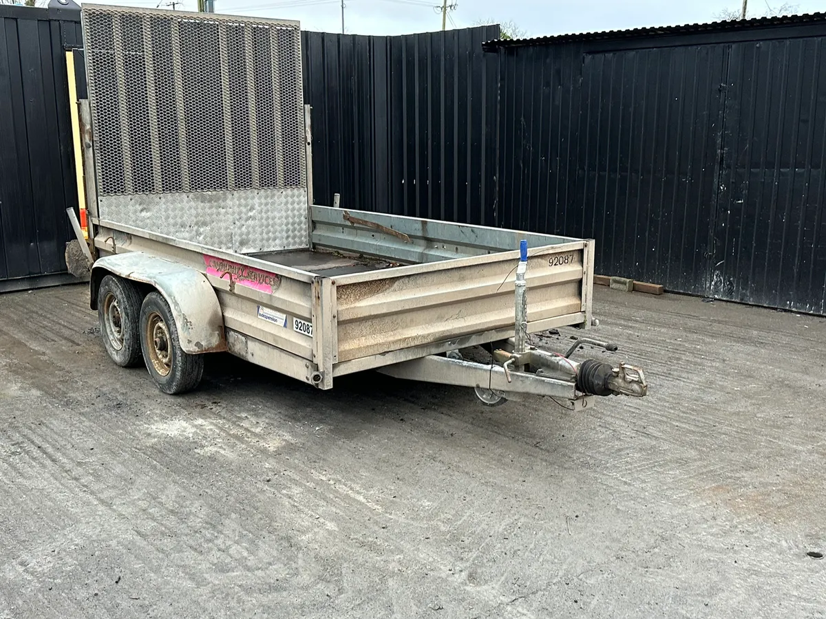 10 x 6 Indespension Plant Trailer - Image 3