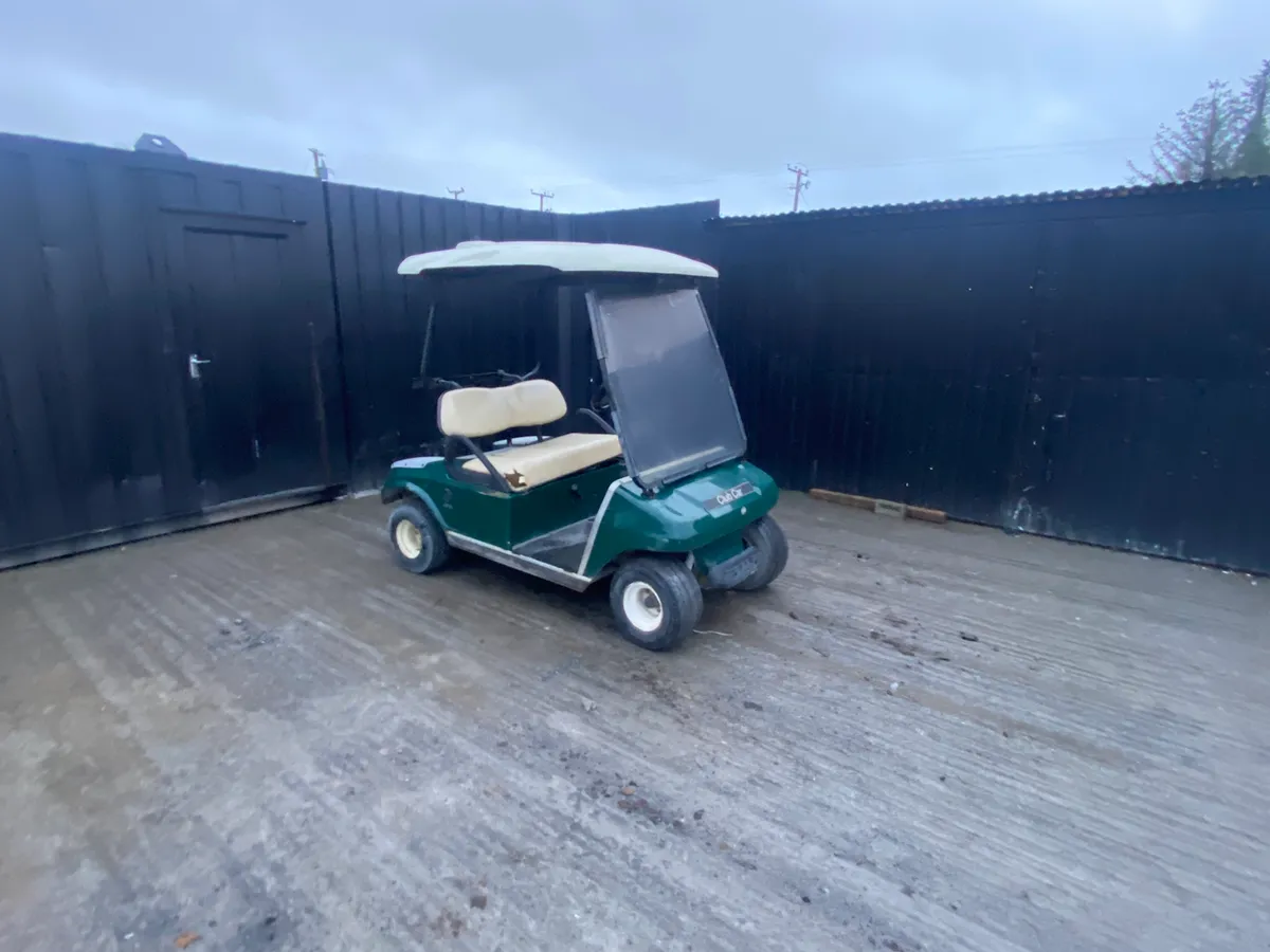 Petrol Golf Buggy - Image 1