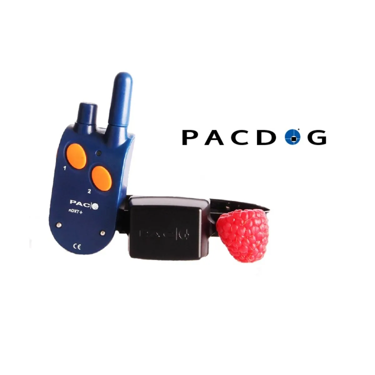 1km Mini/SM Dog Training System | PACDOG - Image 2