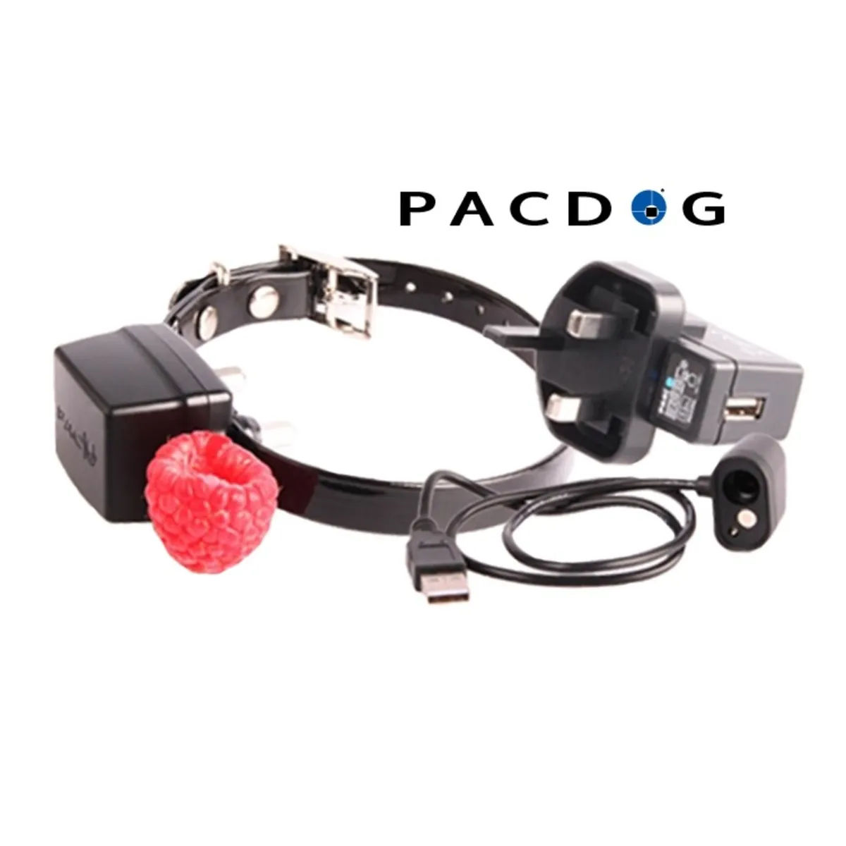 1km Mini/SM Dog Training System | PACDOG - Image 3