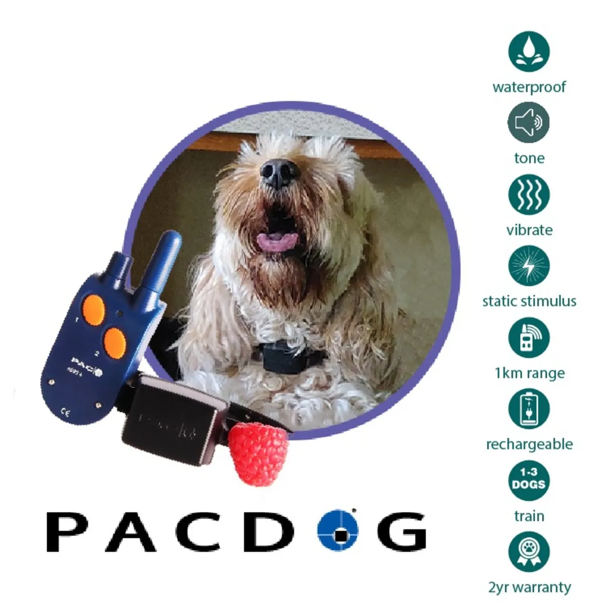 1km Mini/SM Dog Training System | PACDOG - Image 1