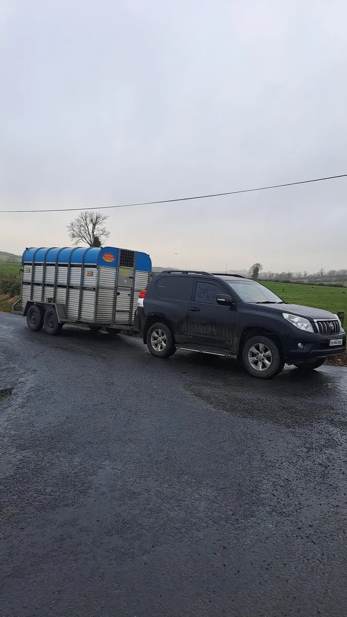 Livestock haulage