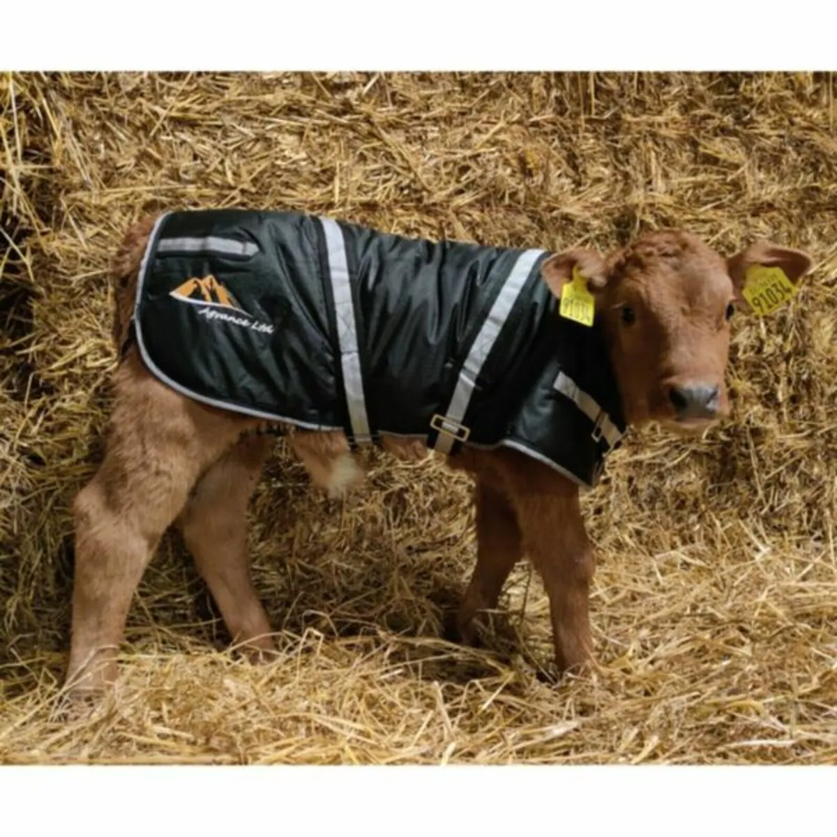 Comfy Calf Jacket (Nationwide Delivery)
