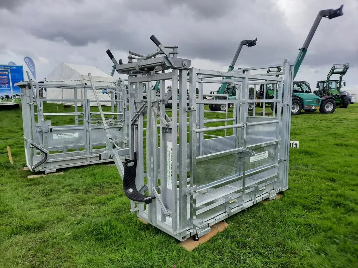 Mobile Handling Unit with Weighing - Image 4