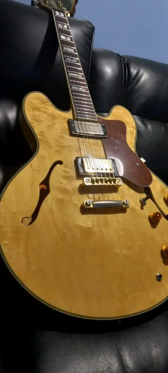 Beautiful 90's Korean Gibson Epiphone Sheraton - Image 2