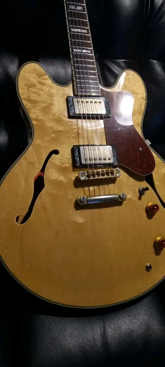 Beautiful 90's Korean Gibson Epiphone Sheraton - Image 1