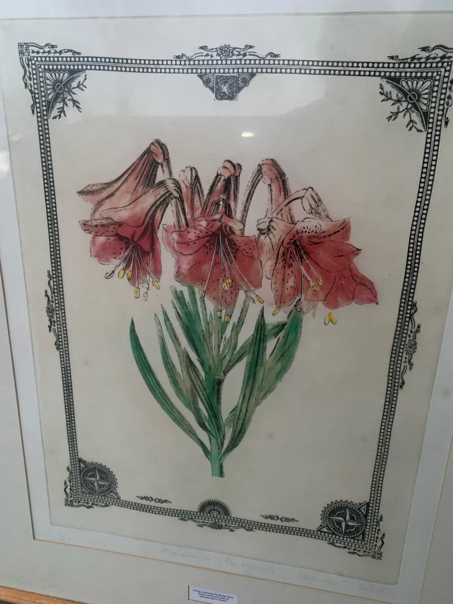 An etching commissioned by Hasting hotel group - Image 2
