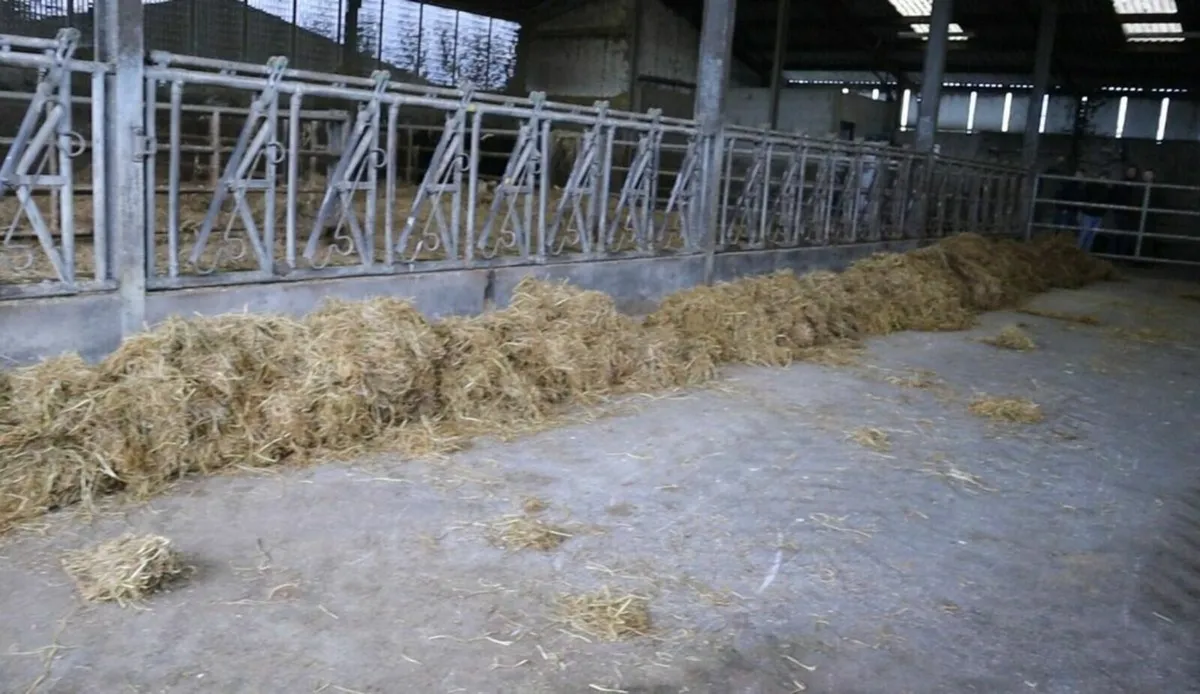 Bale Unwinder Demo - Image 2