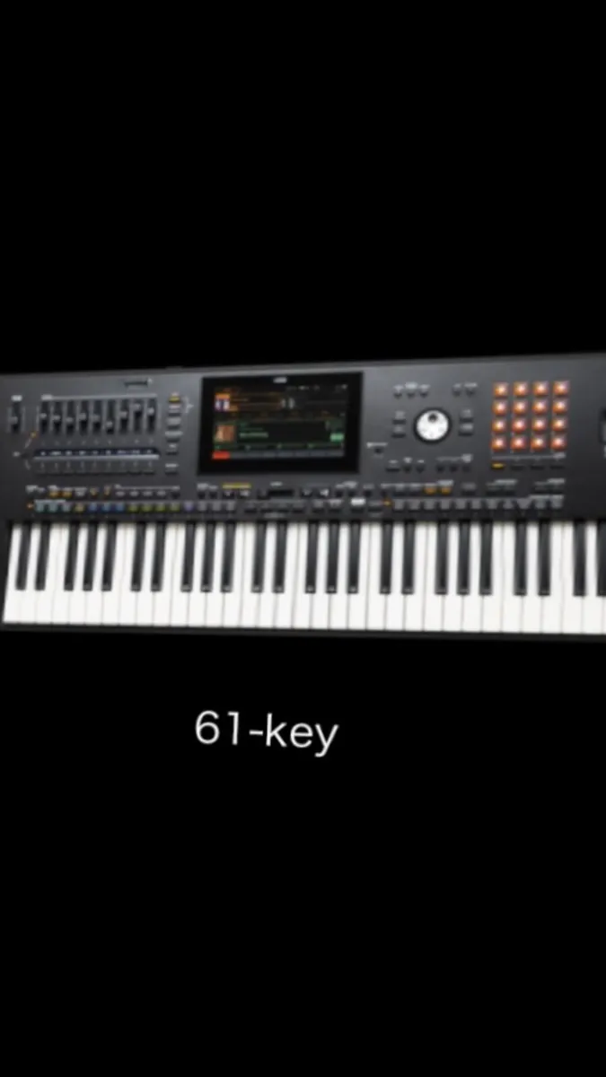 Korg pa5x61 key - Image 1