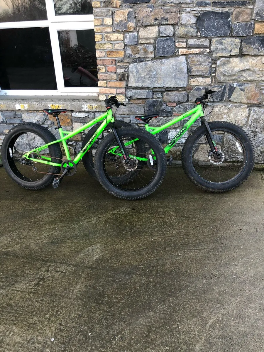 Coyote skid discount row fat bike