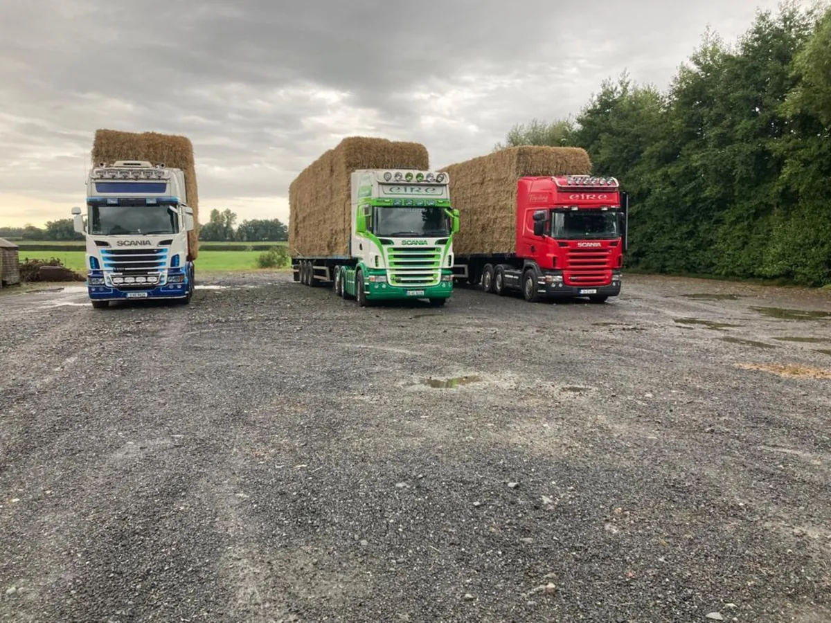 Straw - Image 2