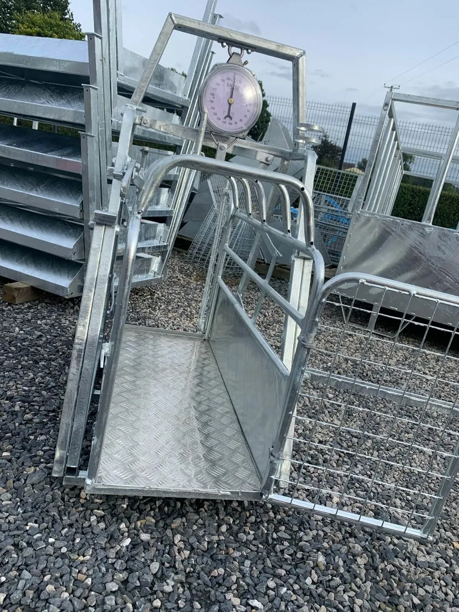 Galvanised Sheep Weighbridge Salter Scale