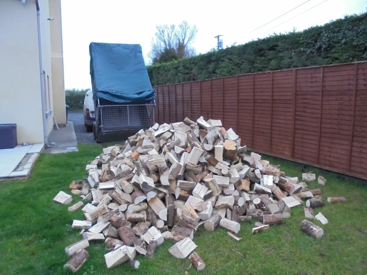 FIREWOOD . - Image 3