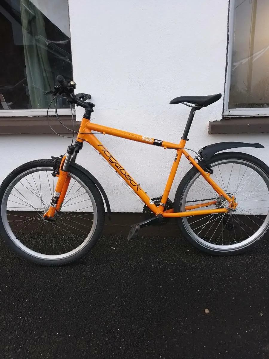 Bike ridgeback dual track for sale in Co. Clare for 200 on DoneDeal