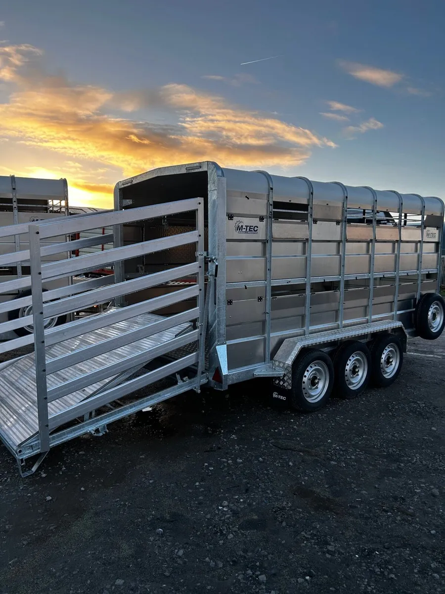 M-Tec 14x6 tri axle livestock trailer - Image 2