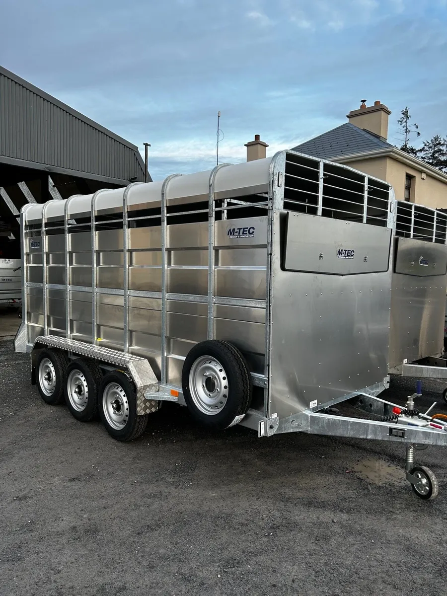 M-Tec 14x6 tri axle livestock trailer - Image 3