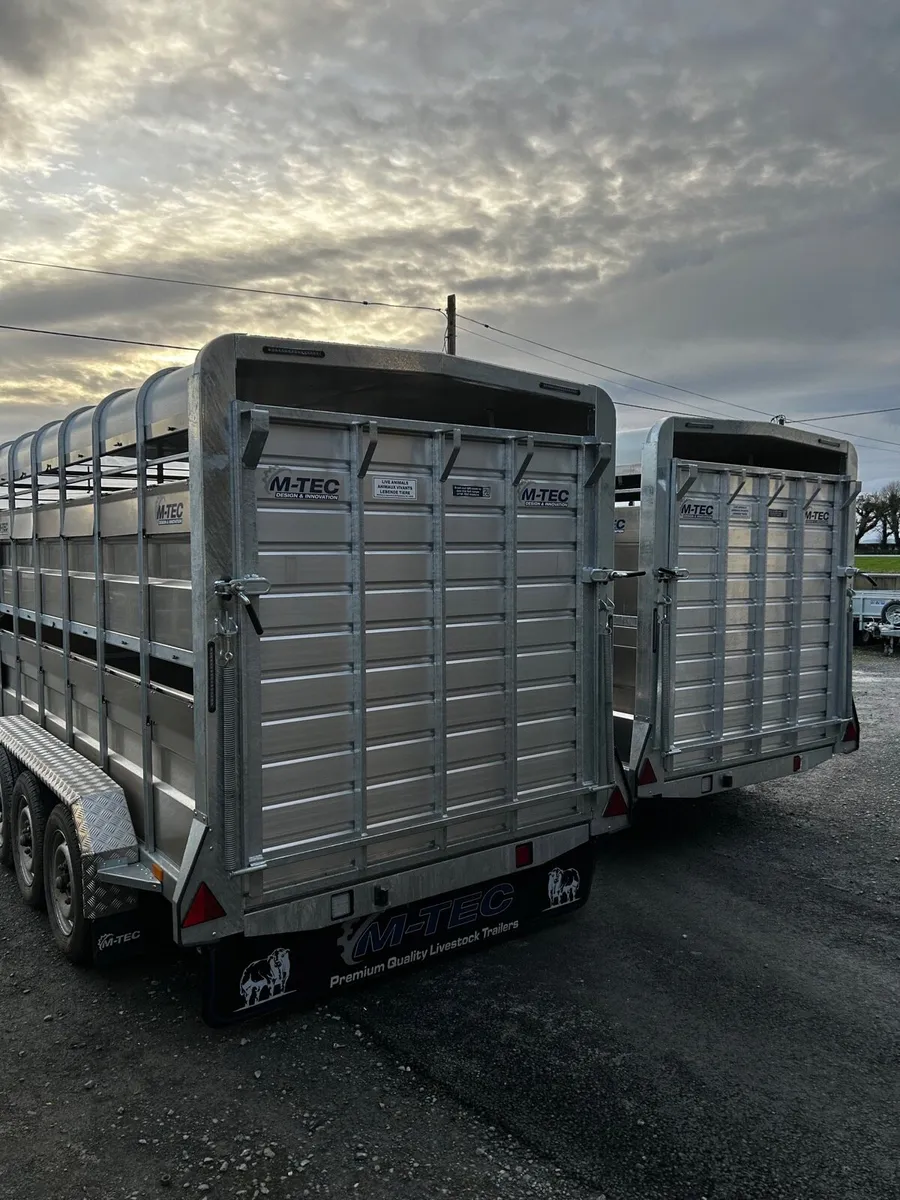 M-Tec 14x6 tri axle livestock trailer - Image 4