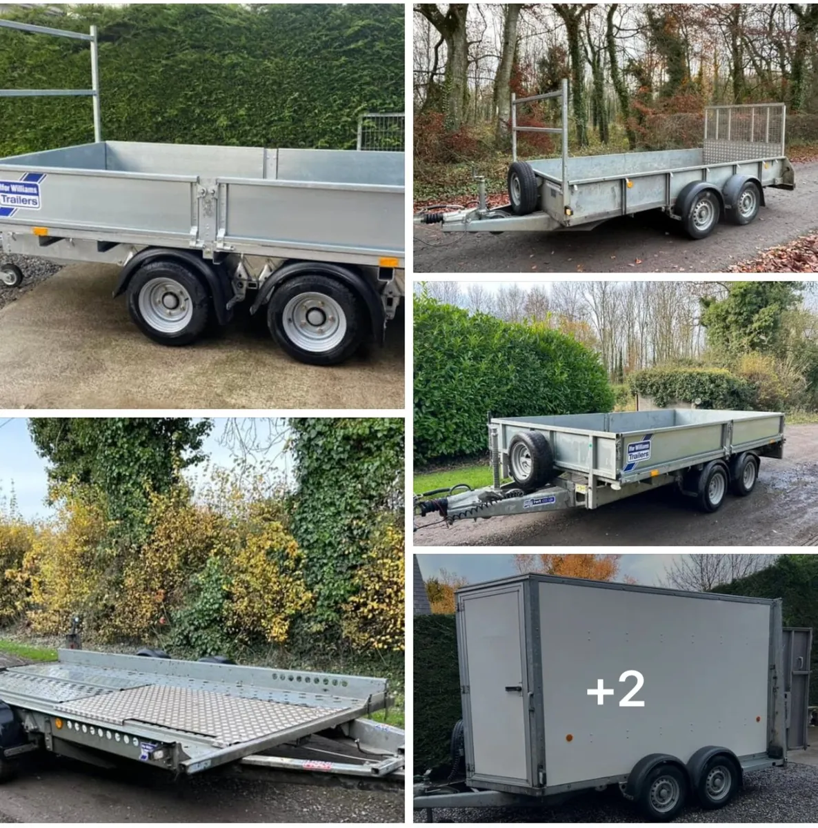 Selection of Ifor Williams Trailers - Image 1