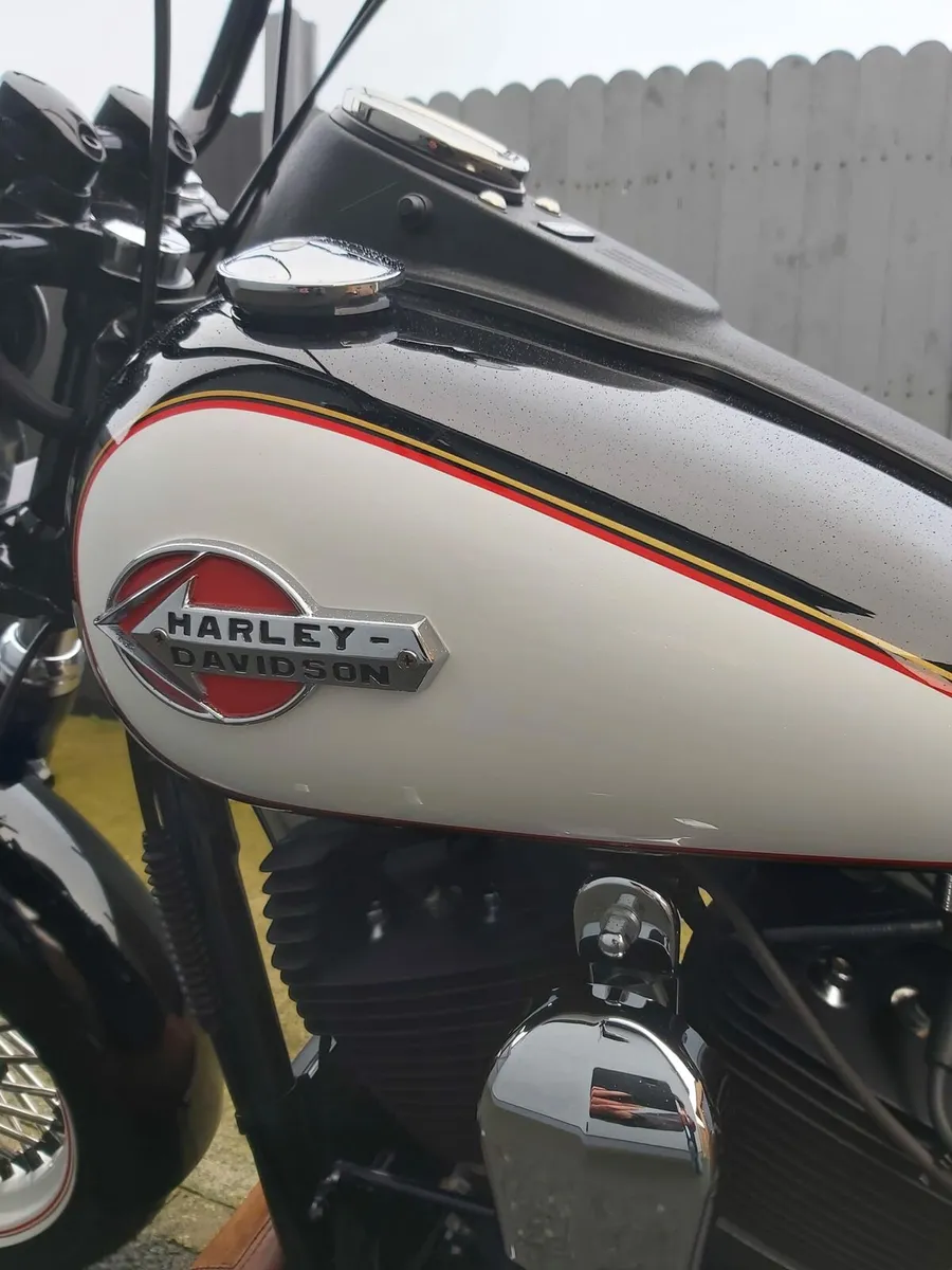 Harley - Image 1