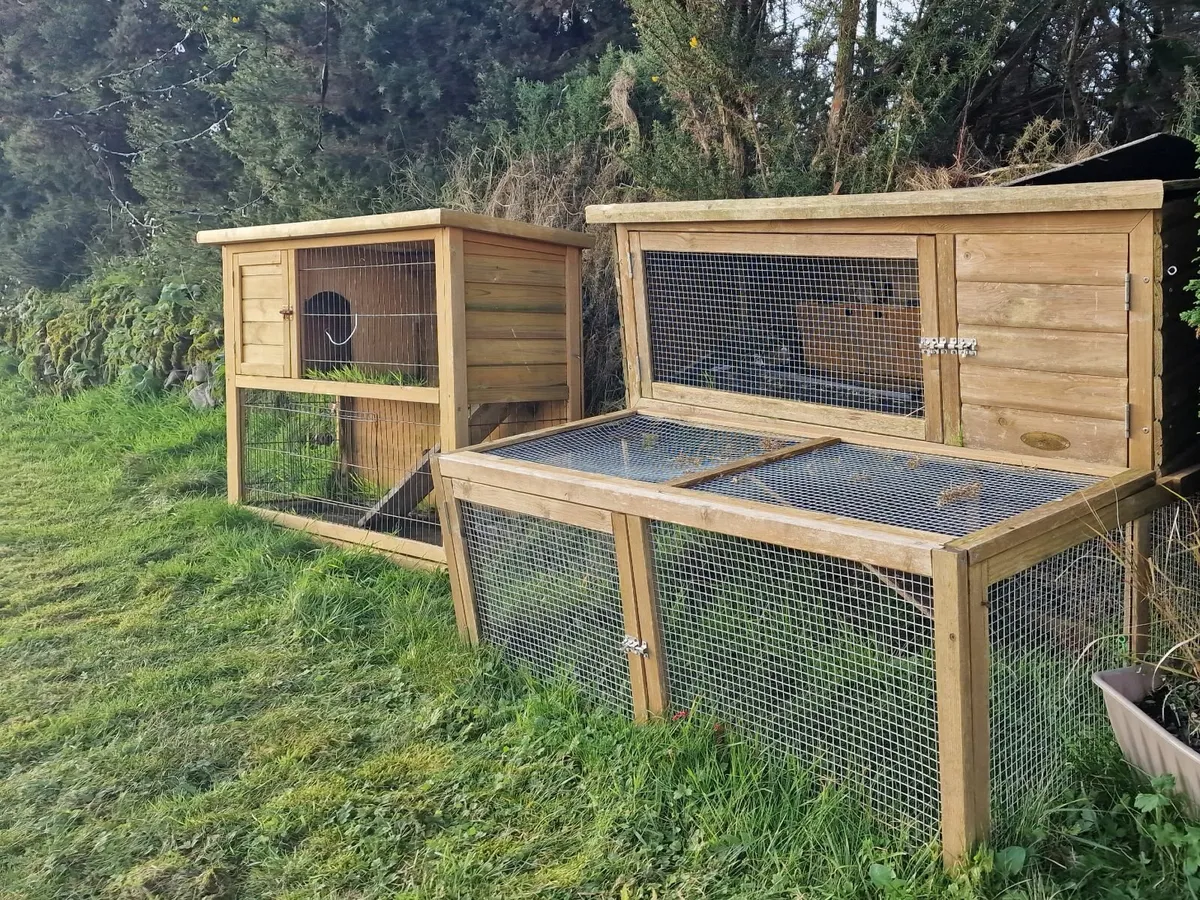 Rabbit hutches hot sale done deal