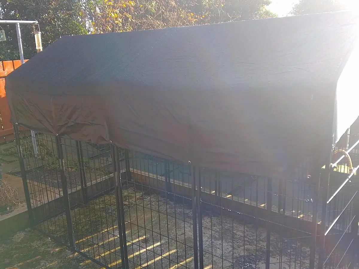 Akc 10x10 cheap kennel