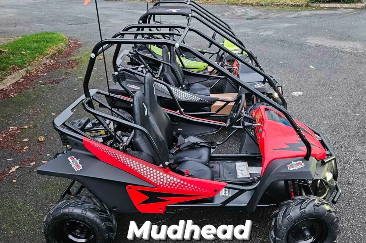 HAMMERHEAD MUDHEAD (SE) Family Size Buggy DELIVERY - Image 4