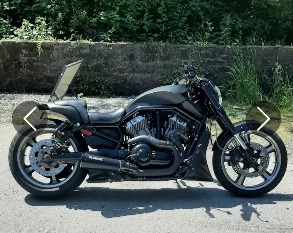 Harley Davidson V ROD Muscle Custom 💪