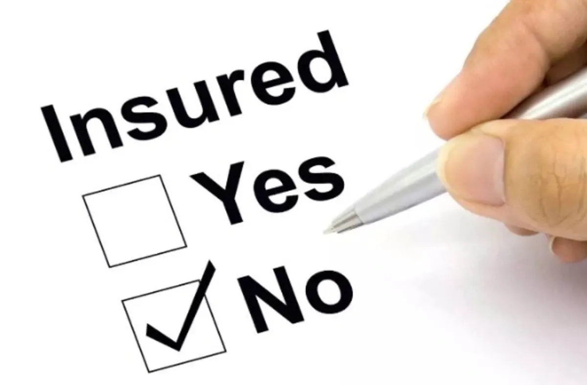 ‼️ No Fence!!!! NO INSURANCE ‼️ - Image 1