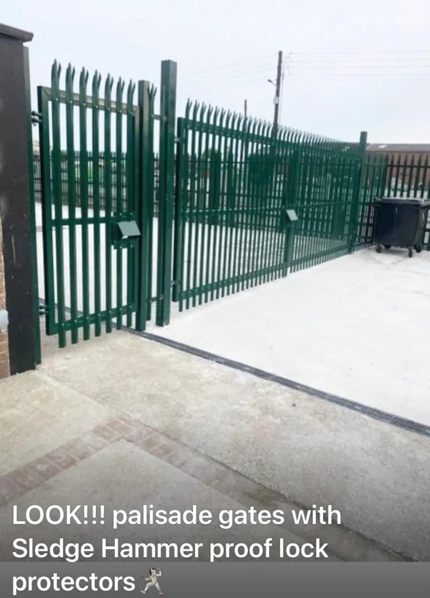 ‼️ No Fence!!!! NO INSURANCE ‼️ - Image 3