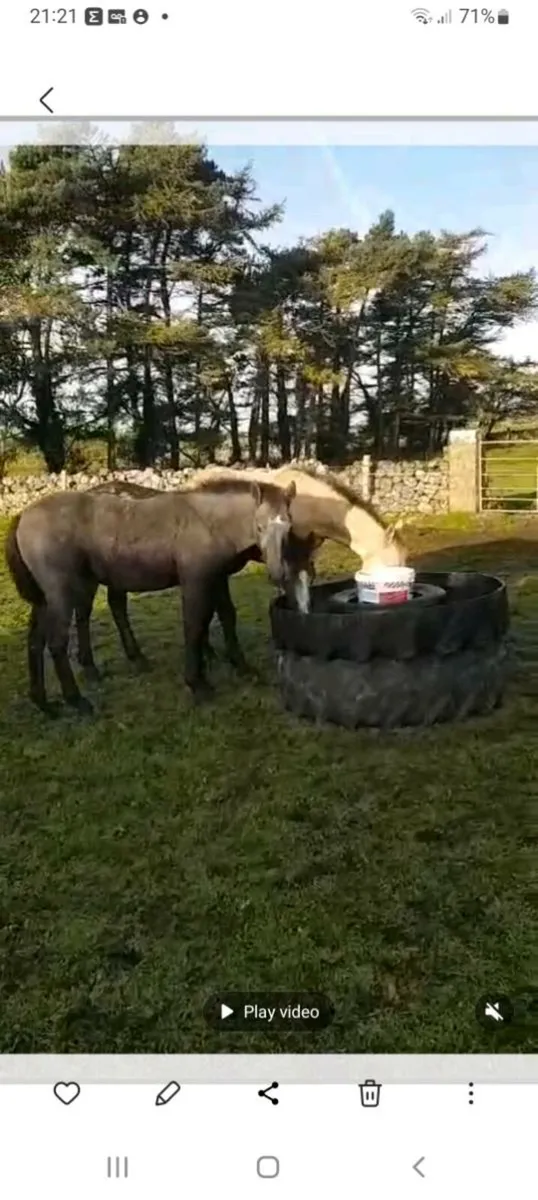 Cattle/ horse / Fully Rubber feeding troughs - Image 3