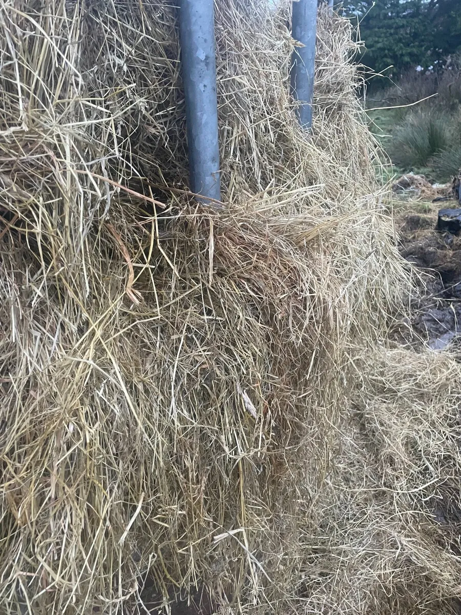 Hay , Silage .Haylage collect OR deliver connamara