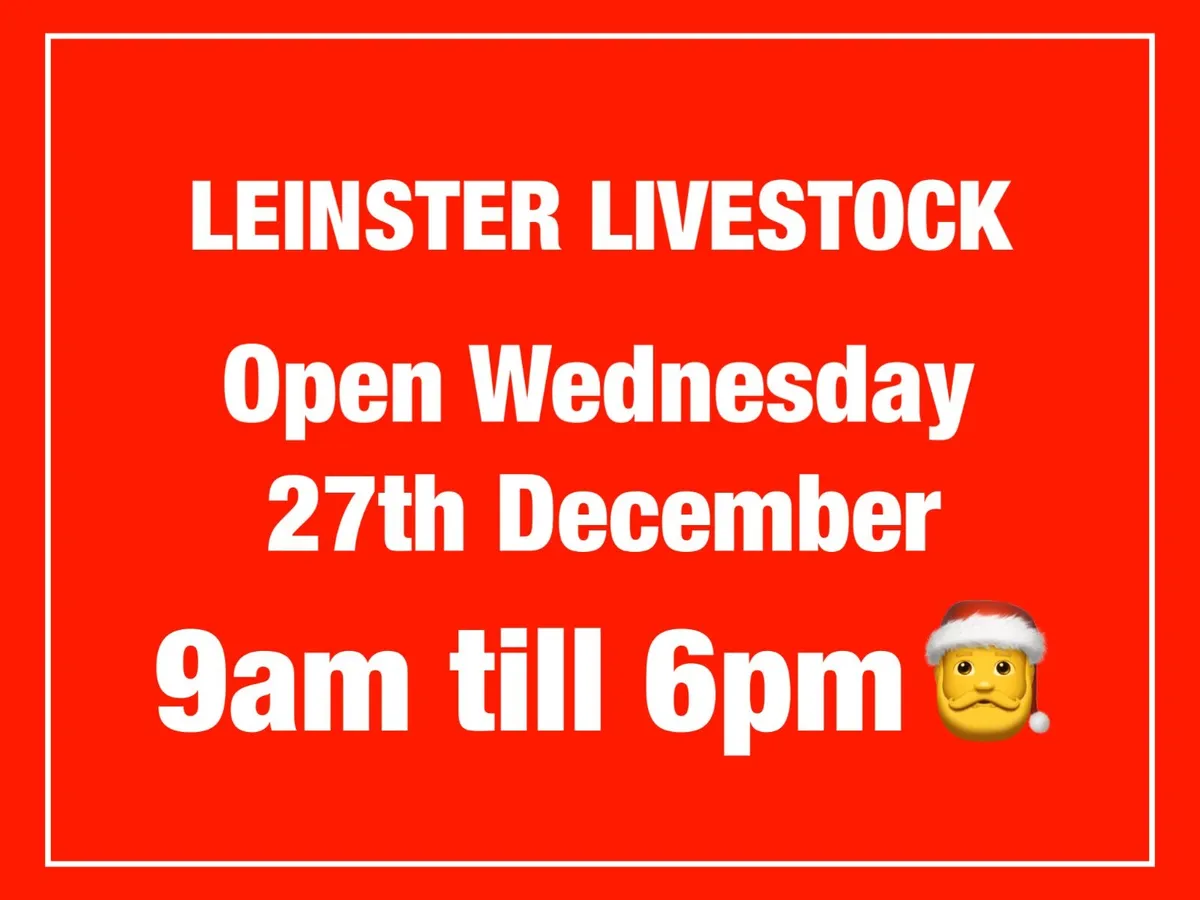 Open Wednesday - Image 1