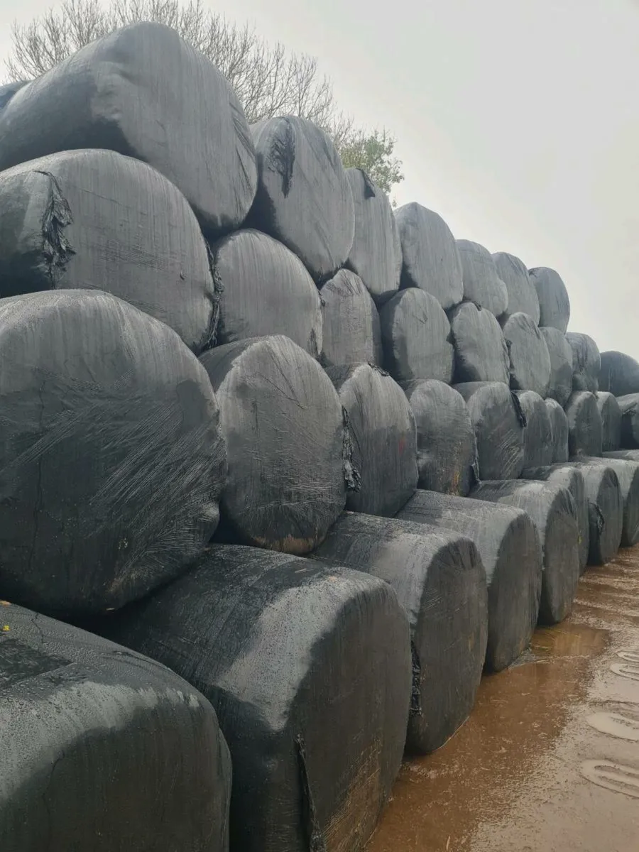 Haylage Bales for sale can deliver