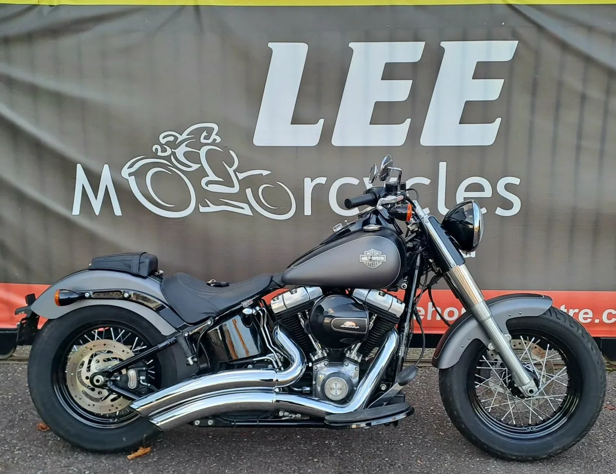 2018 Harley Davidson FLS Softail Slim 1690