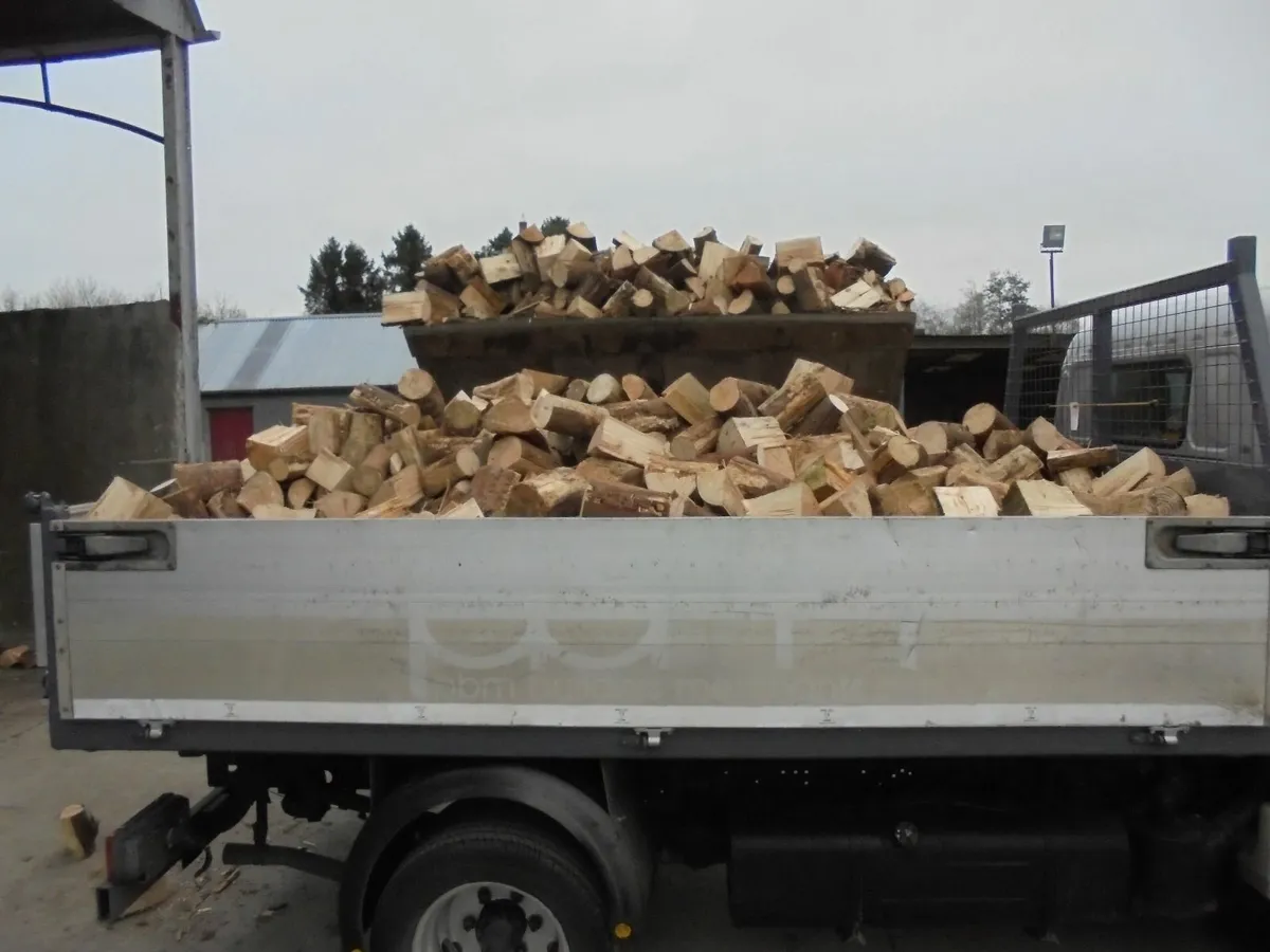 Firewood. - Image 3