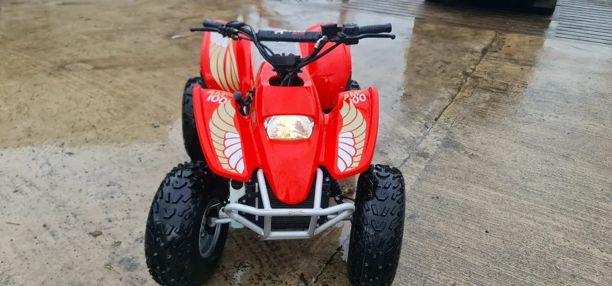 2022 QUAD Access AMS 100cc Kids Quad - Image 3