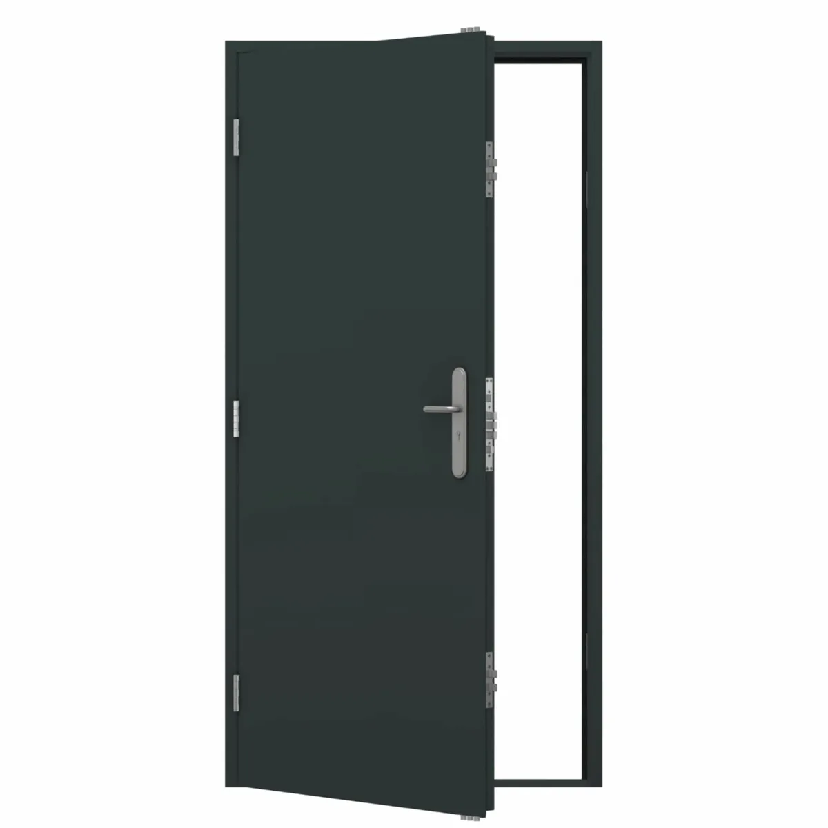 Galvanized Powder Coated Steel Security Door