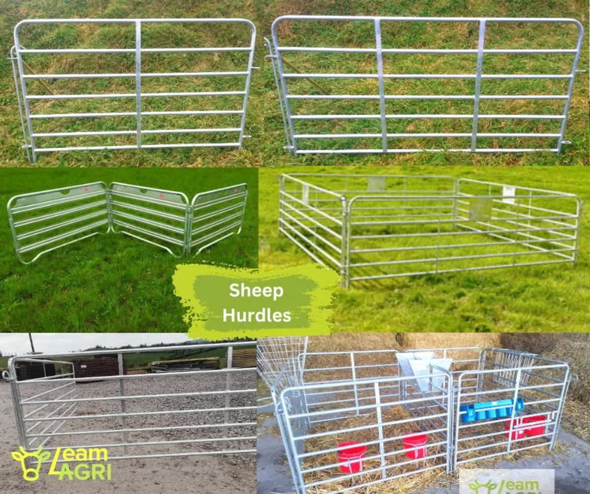 Sheep hurdles, hayracks and bucket rings. Leam