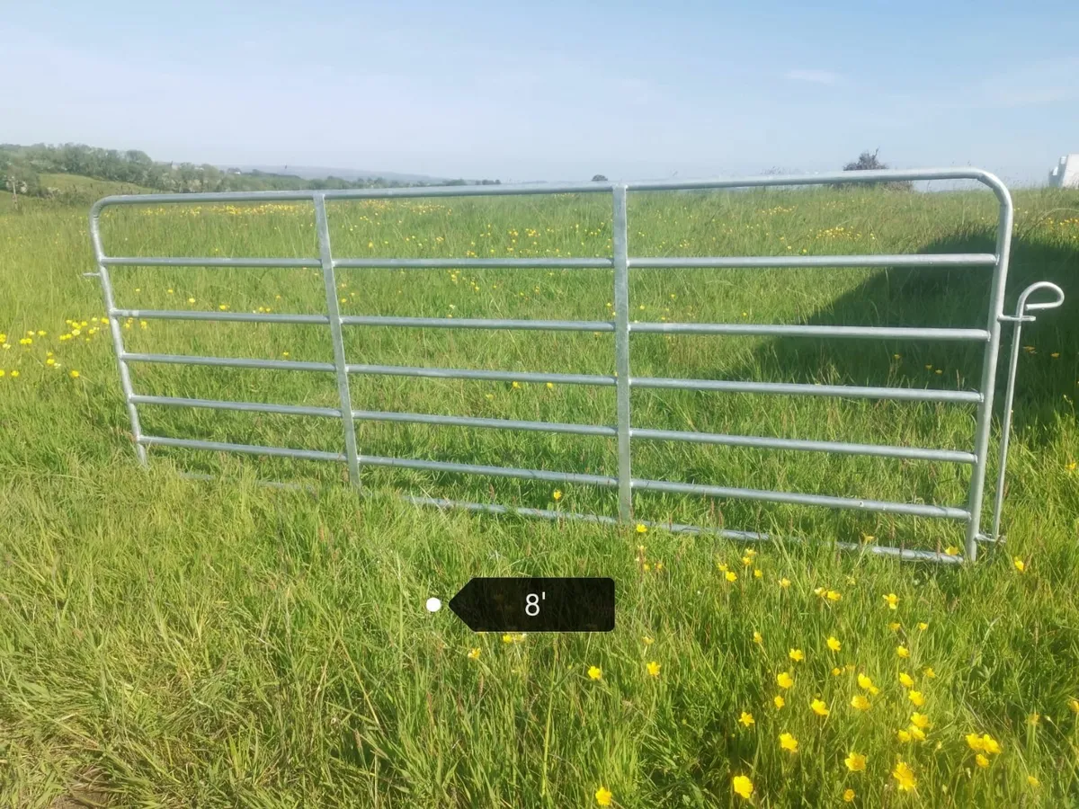 Sheep hurdles, hayracks and bucket rings. Leam - Image 2