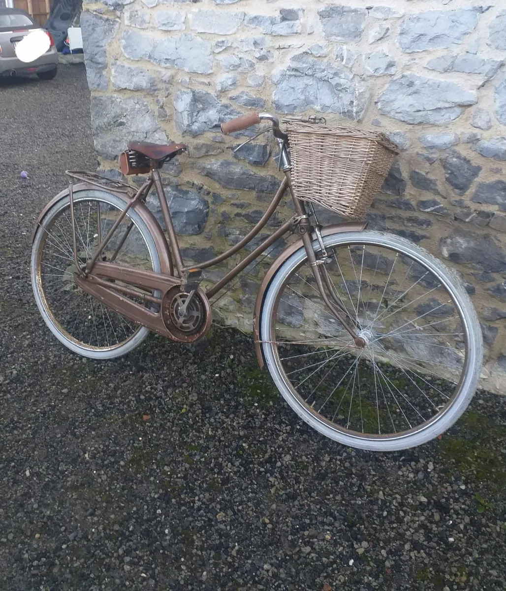 High Nelly Vintage Bicycle Raleigh