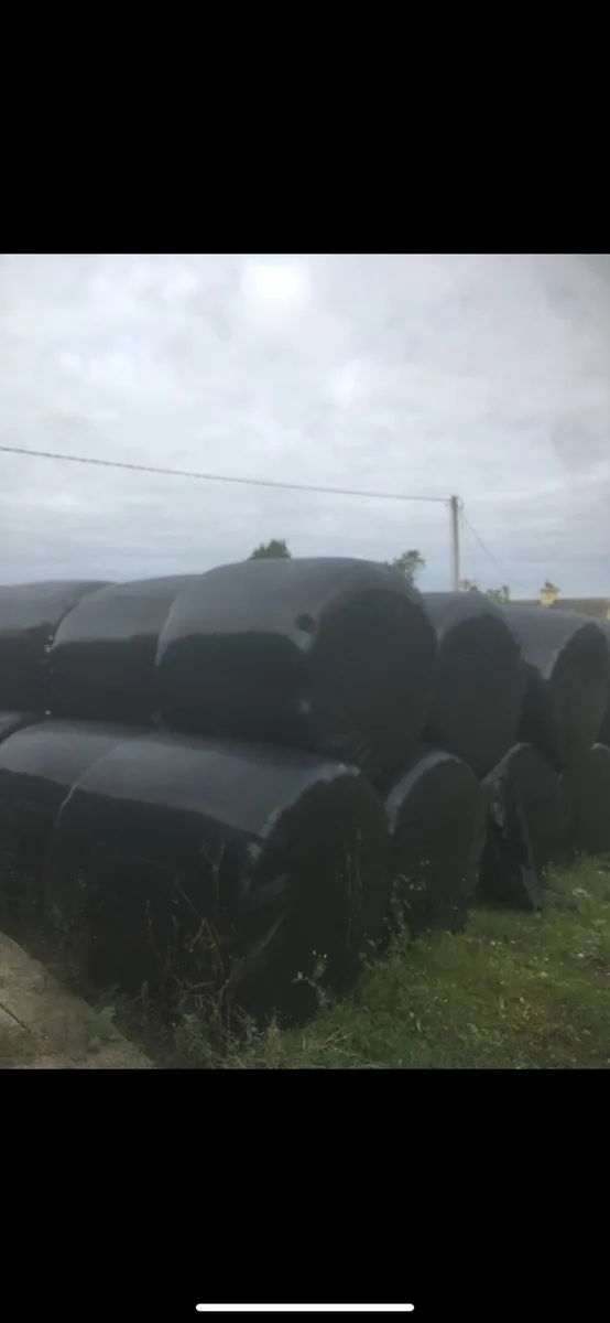 Top Quality Haylage For Sale