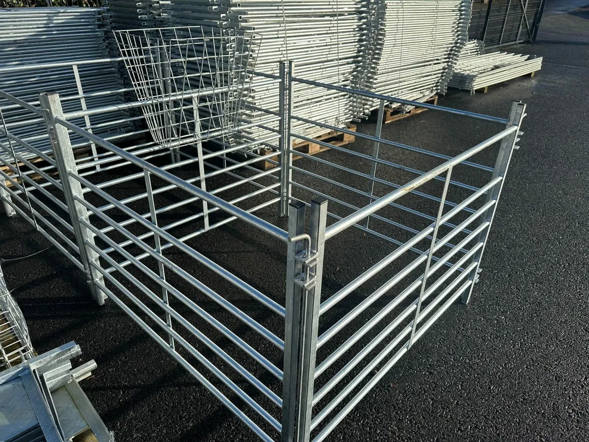 Sheep Hurdles 4ft/5ft/6ft/8ft/10ft - Image 2