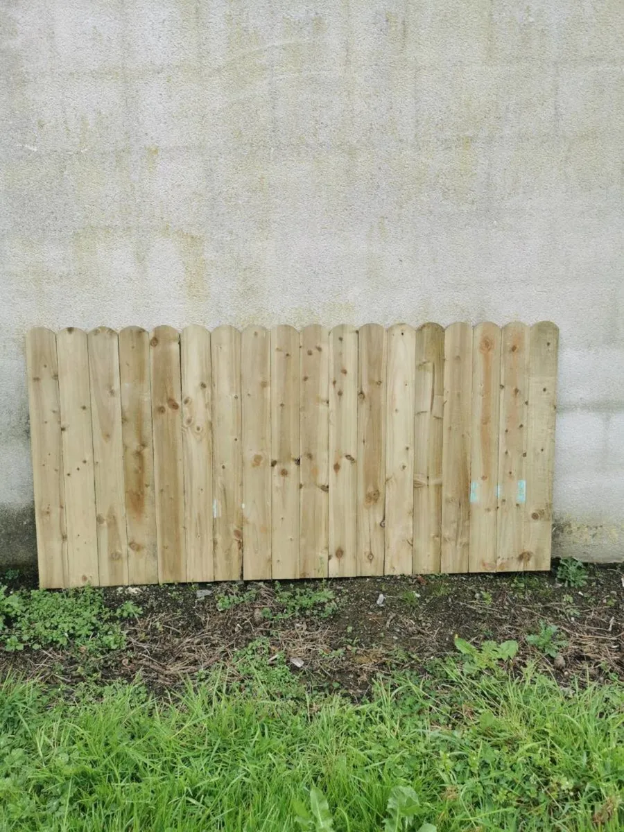 Picket fencing - Image 3