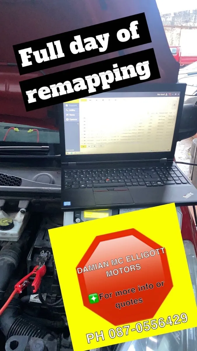 * REMAPPING */DPF & AD BLUE SOLUTIONS - Image 3