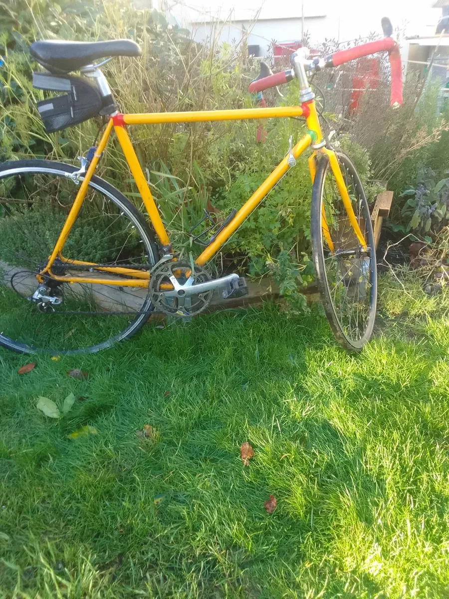 1970 Vintage  Racing Bike  with Campolono  parts